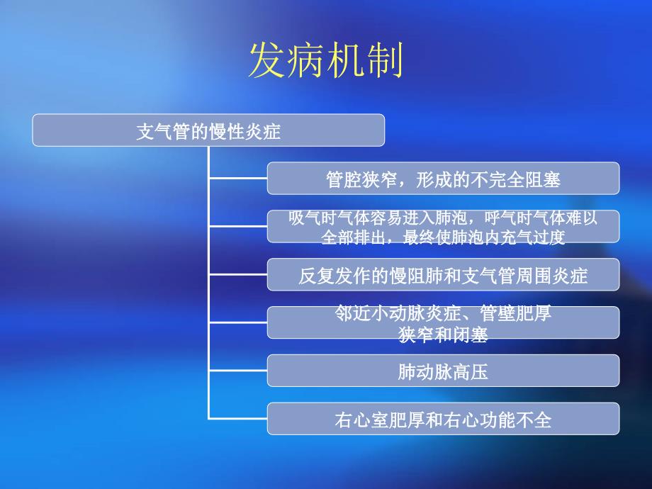 慢阻肺护理查房_第3页