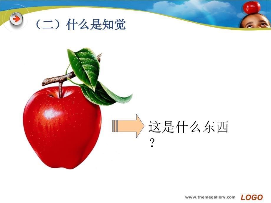 学前心理学课件：感知觉_第5页