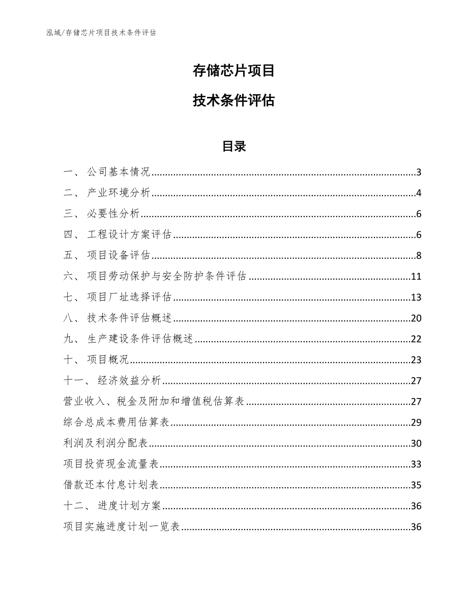 存储芯片项目技术条件评估【范文】_第1页