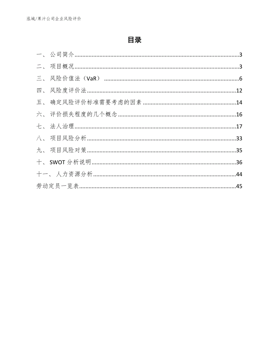 果汁公司企业风险评价（范文）_第2页