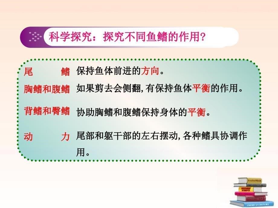 生物上册第二单元第二章第一节动物的主要类群课件济南课件_第5页