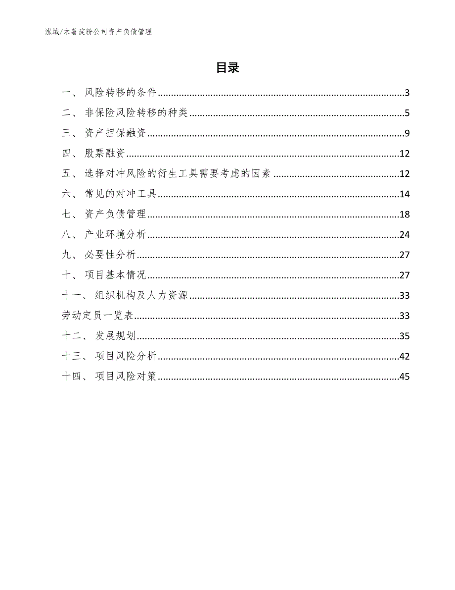 木薯淀粉公司资产负债管理_参考_第2页