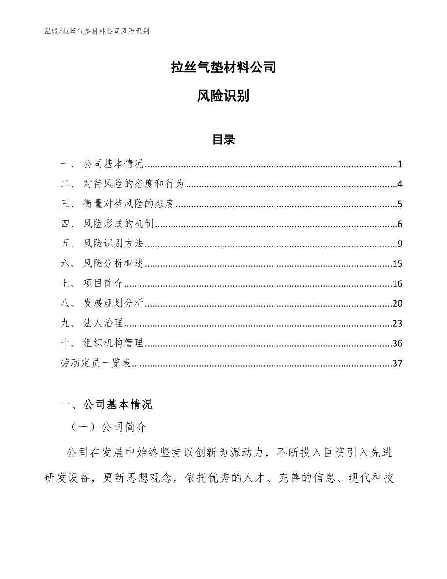 拉丝气垫材料公司风险识别_第1页