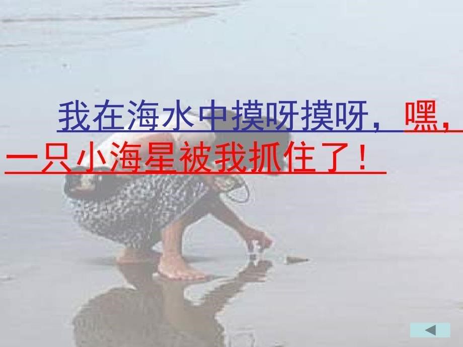 苏教版三年级课件赶海.ppt_第5页