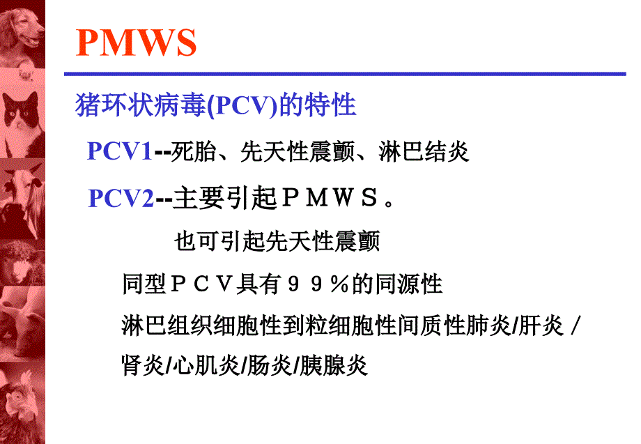 断奶仔猪多系统衰竭综合症_第3页