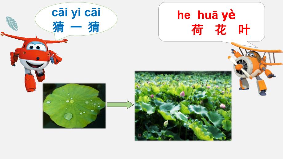 一年级上册科学教科版《这是谁的叶》（课件）_第4页