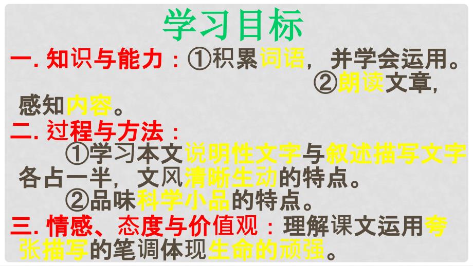 八年级语文上册 第二单元 自主阅读 蜘蛛课件 北师大版_第4页