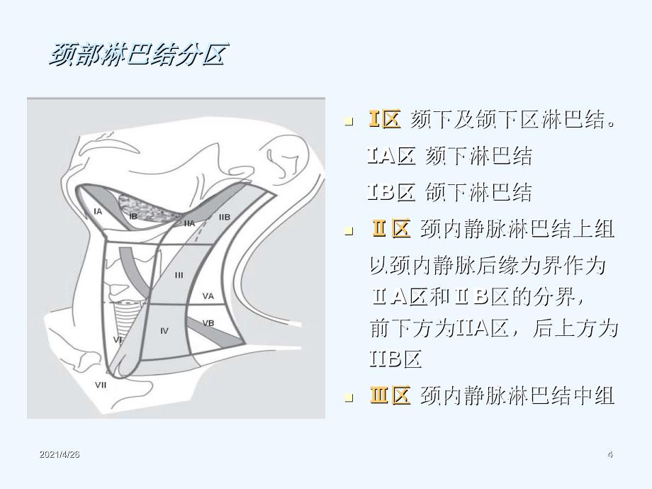 颈部淋巴结分区_第4页