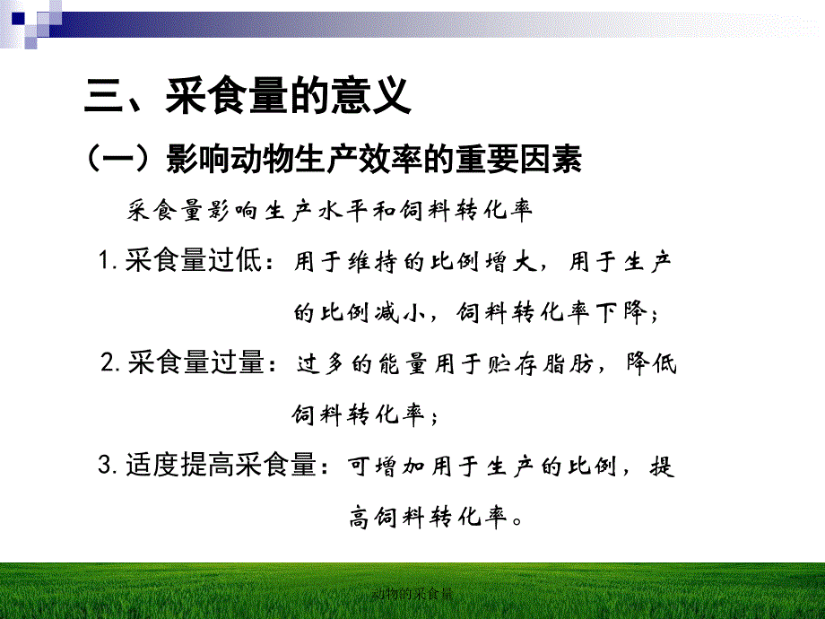 动物的采食量_第4页