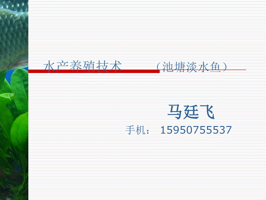 池塘淡水养殖技术培训.ppt_第1页