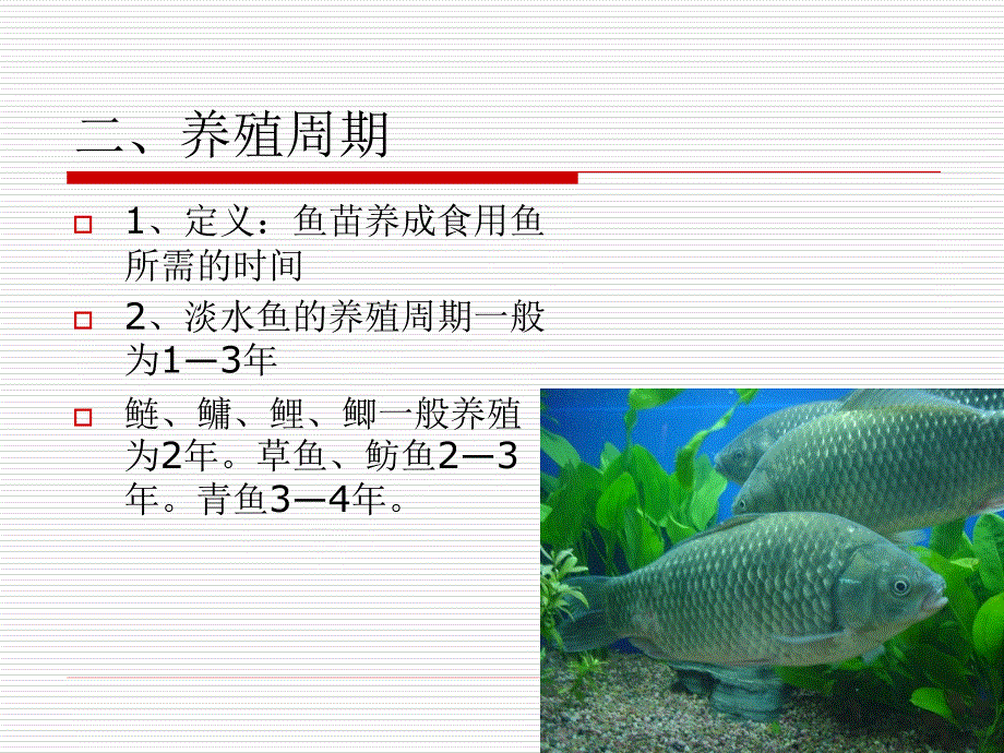 池塘淡水养殖技术培训.ppt_第3页