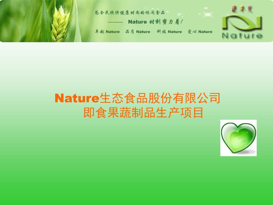 Nature生态食品股份有限公司即食果蔬制品生产项目策划方案_第1页