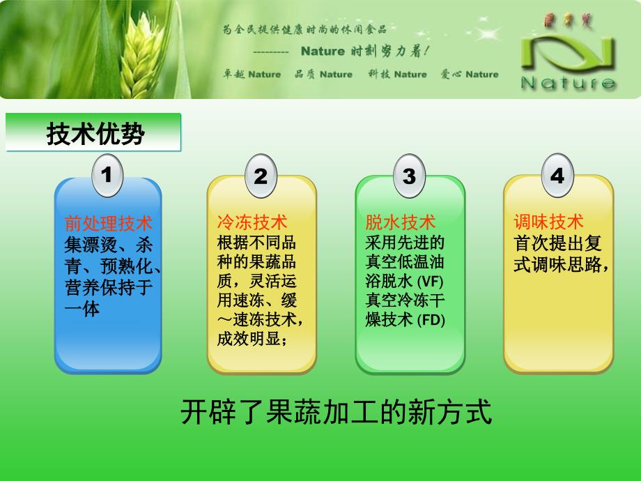 Nature生态食品股份有限公司即食果蔬制品生产项目策划方案_第3页