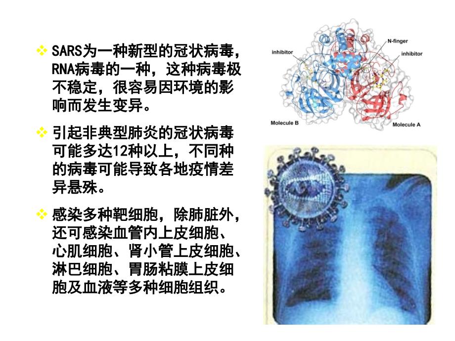 课件 (5)_第2页