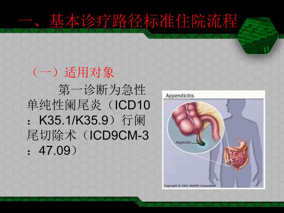 急性单纯性阑尾炎_第2页