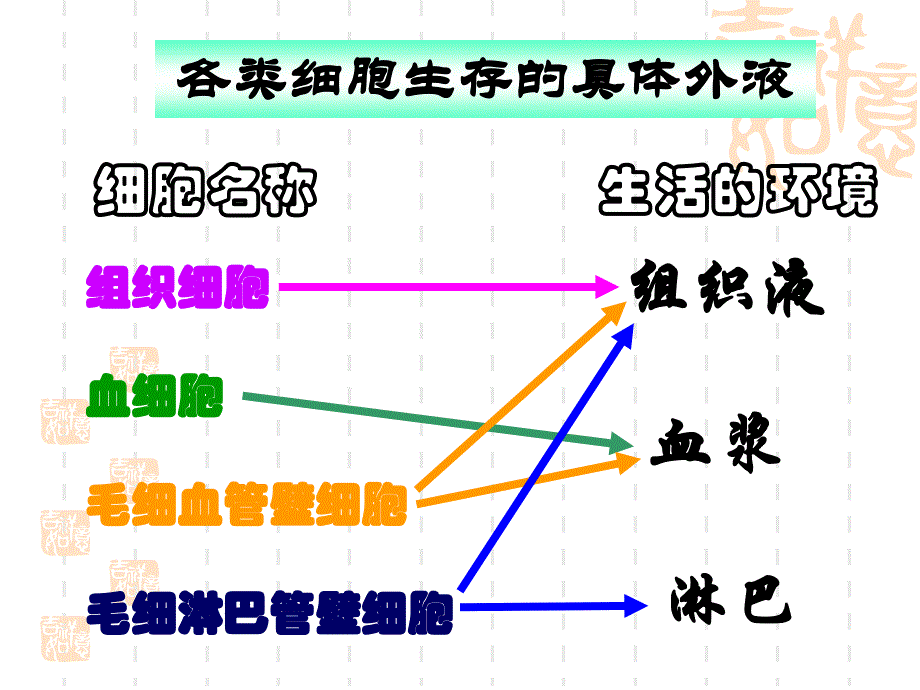 文科细胞生活的环境.ppt_第4页