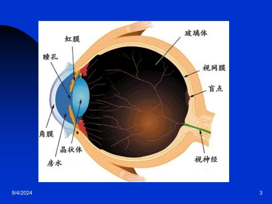 白内障病人护理课件_第3页