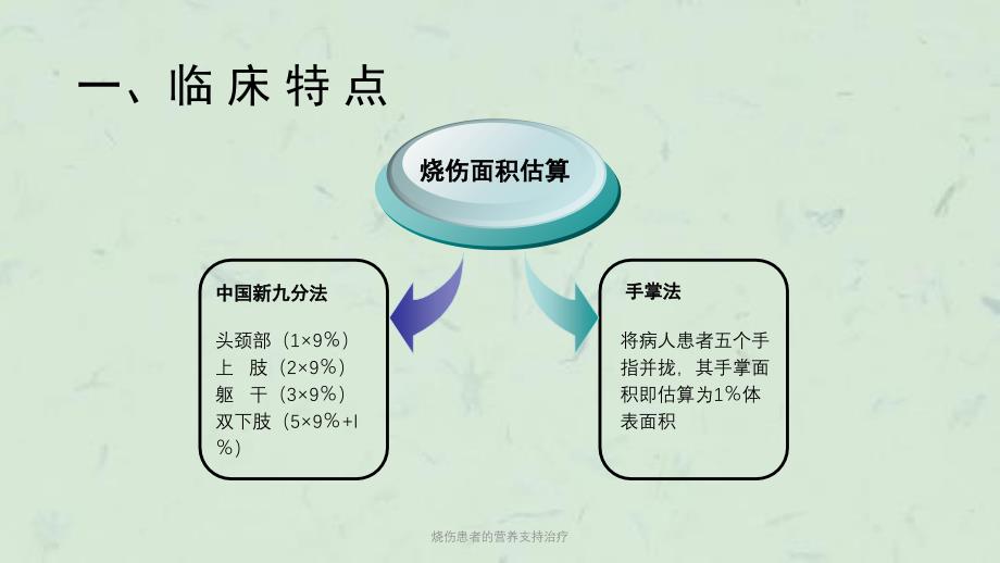 烧伤患者的营养支持治疗课件_第3页