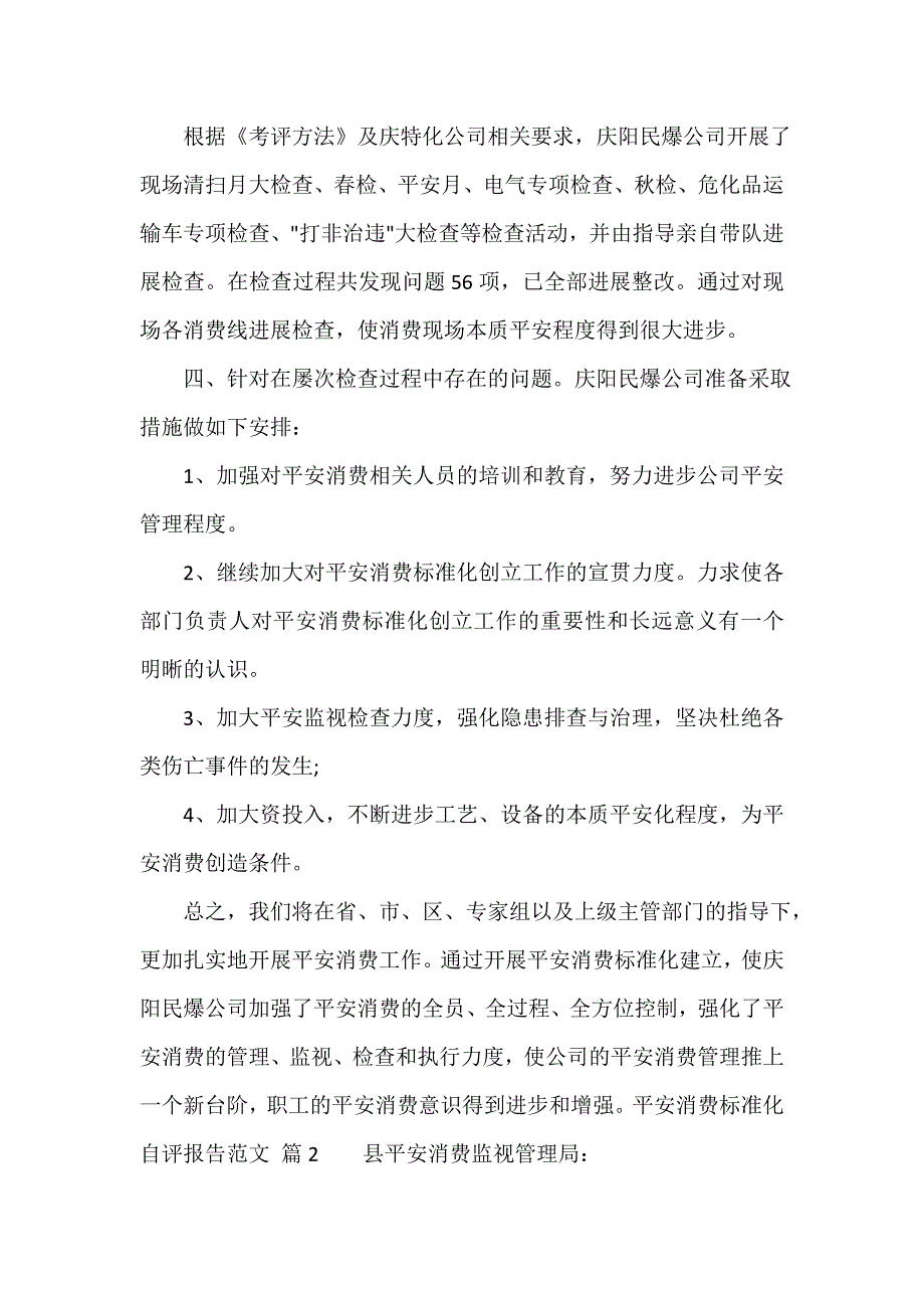 安全生产标准化自评报告范文（通用6篇）_第3页