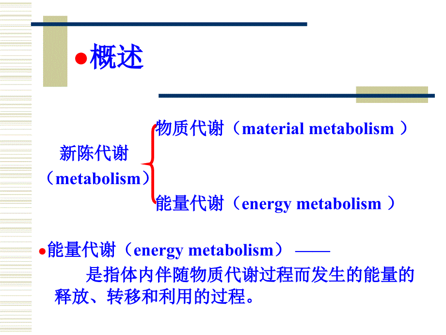 第七章能量代谢_第3页