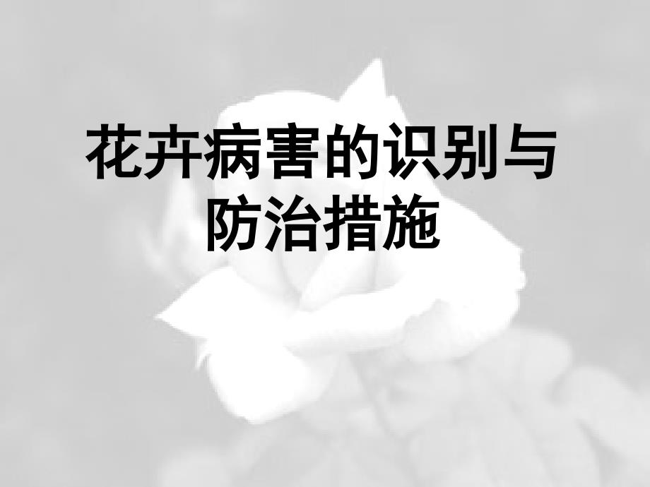 《花卉病害防治》PPT课件_第1页