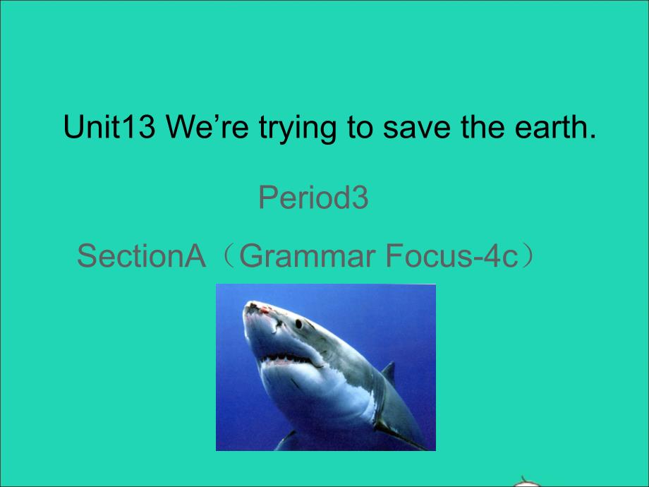 2021年秋九年级英语全册Unit13We'retryingtosavetheearthSectionAGrammarFocus_4c课件新版人教新目标版_第1页