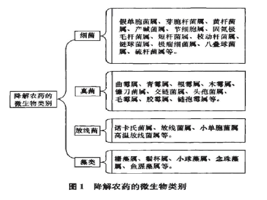 微生物对化学农药的降解文档资料_第5页