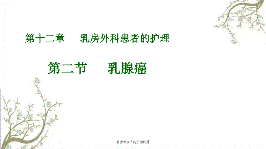 乳腺癌病人的护理优秀课件_第1页