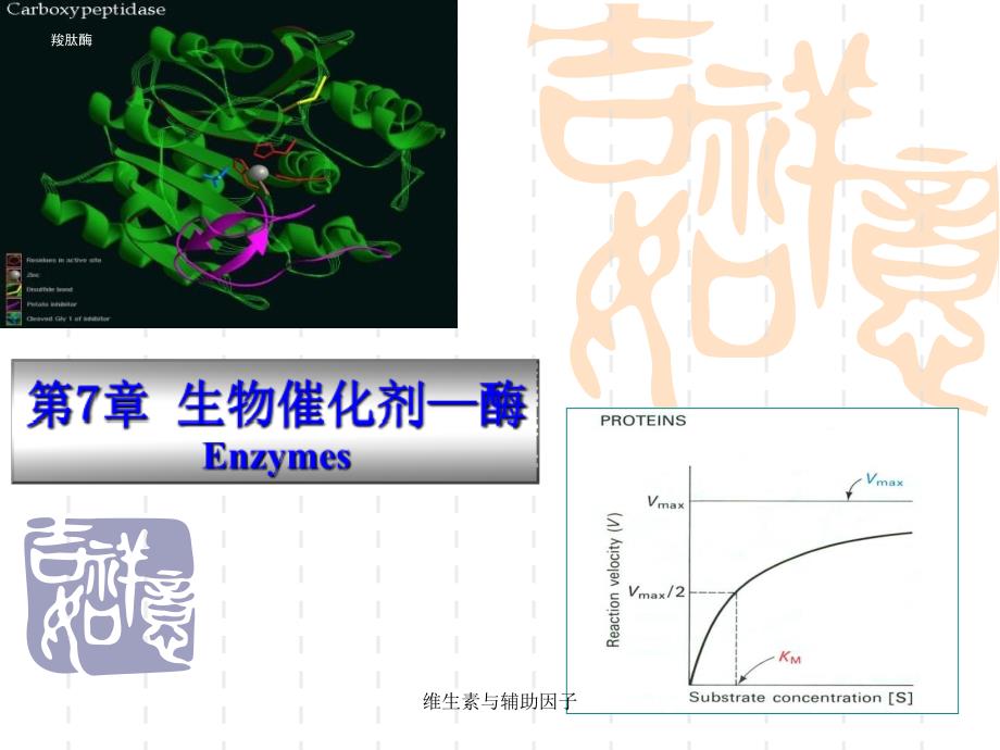 维生素与辅助因子课件_第1页