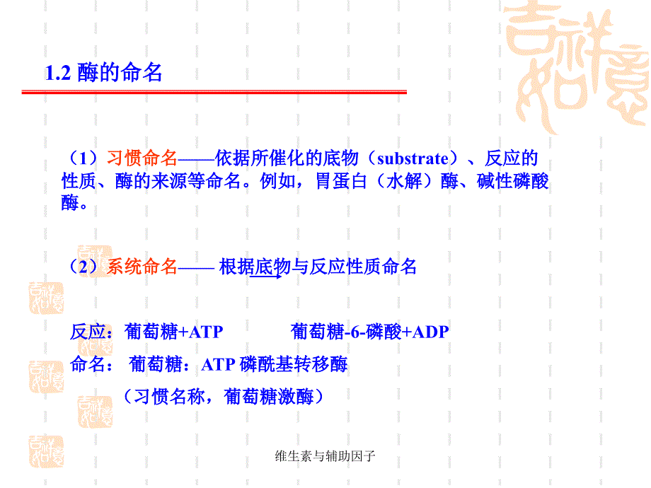 维生素与辅助因子课件_第4页