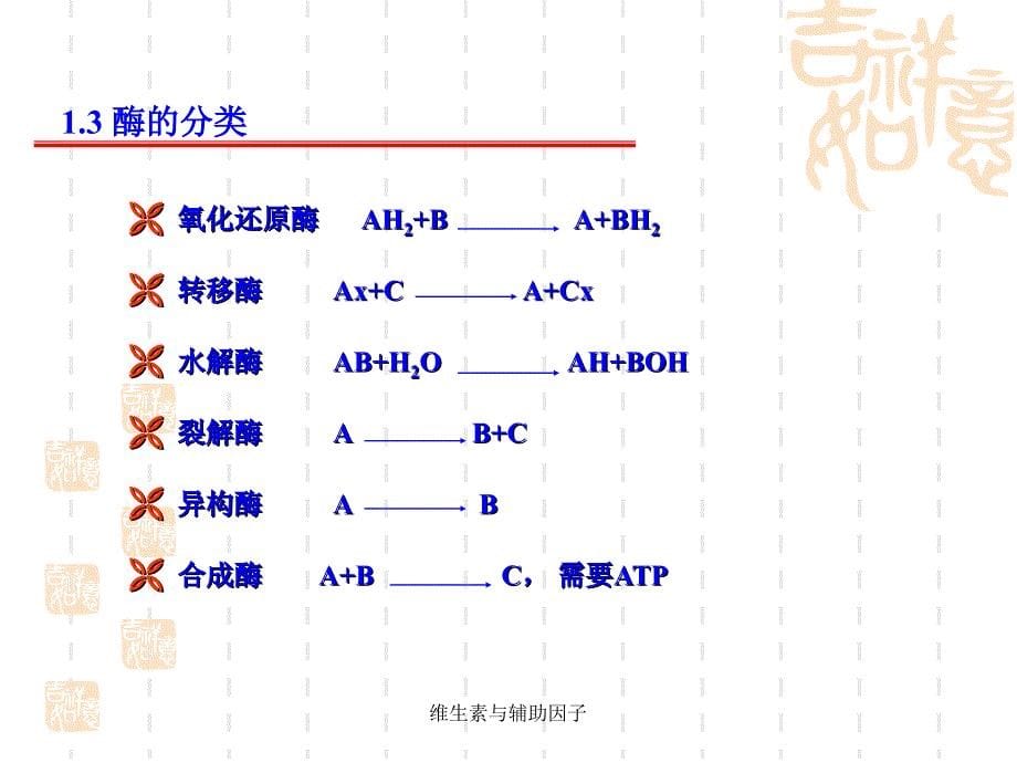 维生素与辅助因子课件_第5页