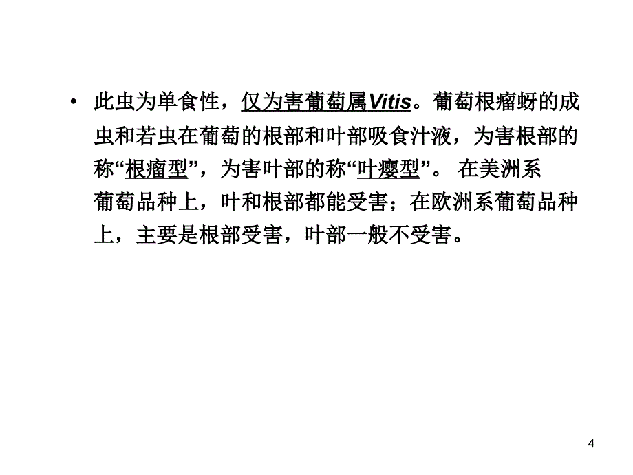 《葡萄根瘤蚜》PPT课件.ppt_第4页