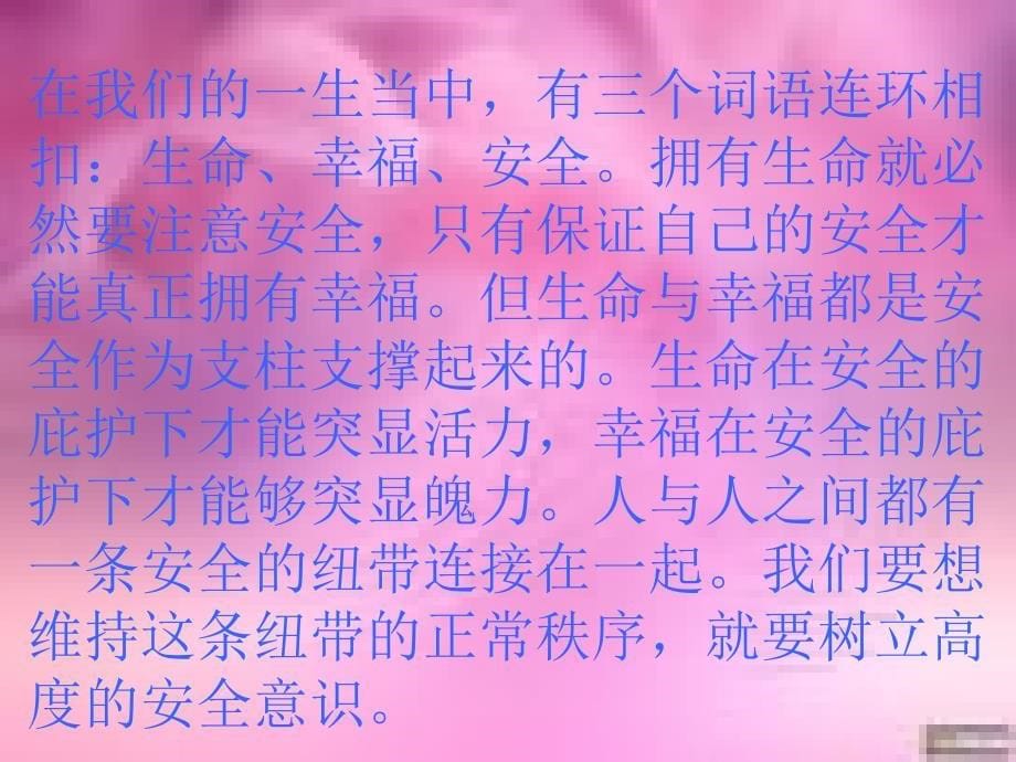 中小学班会安全文明伴我行_第5页