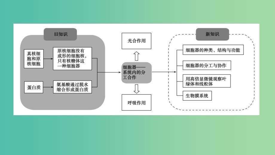 2019版高中生物 第三章 细胞的基本结构 第2节 细胞器——系统内的分工合作课件 新人教版必修1.ppt_第5页