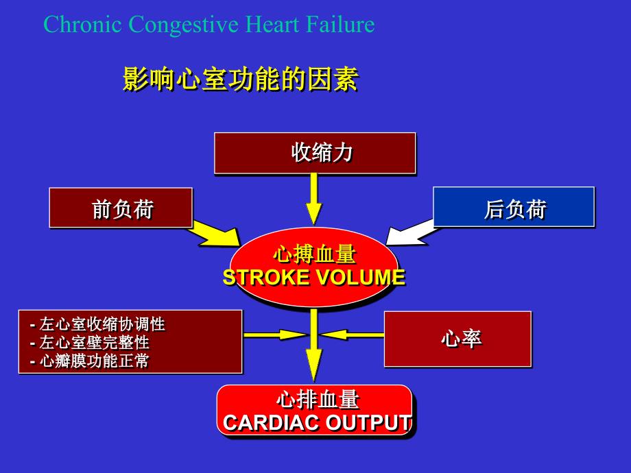 充血性心力衰竭的药物治疗_第3页