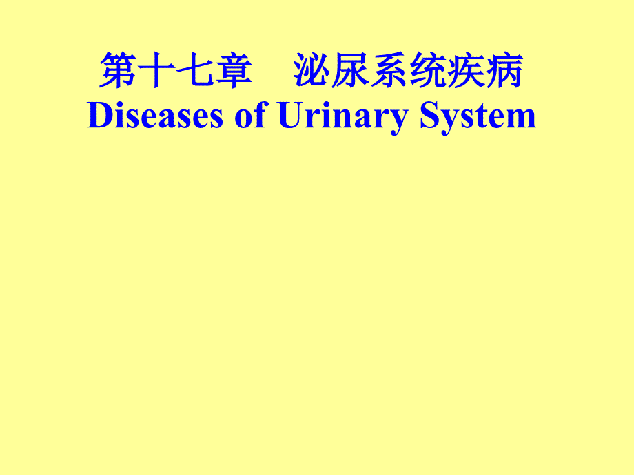 病理学肾小球肾炎与肾盂肾炎_第1页