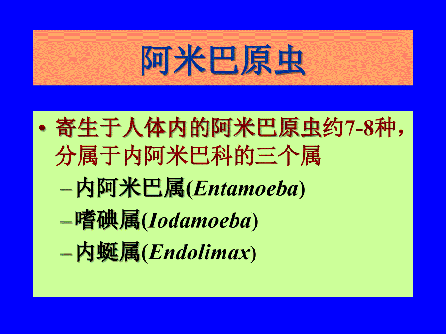 c寄生虫学第十二讲阿米巴课件_第3页