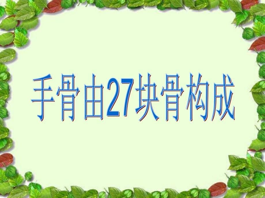 青岛版小学科学三年级下册骨骼课件_第5页