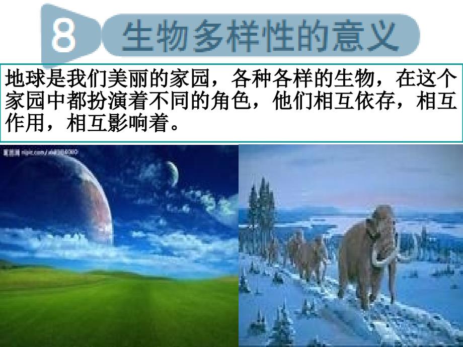 教科版小学六年级科学上册《生物多样性的意义》教学课件_第2页