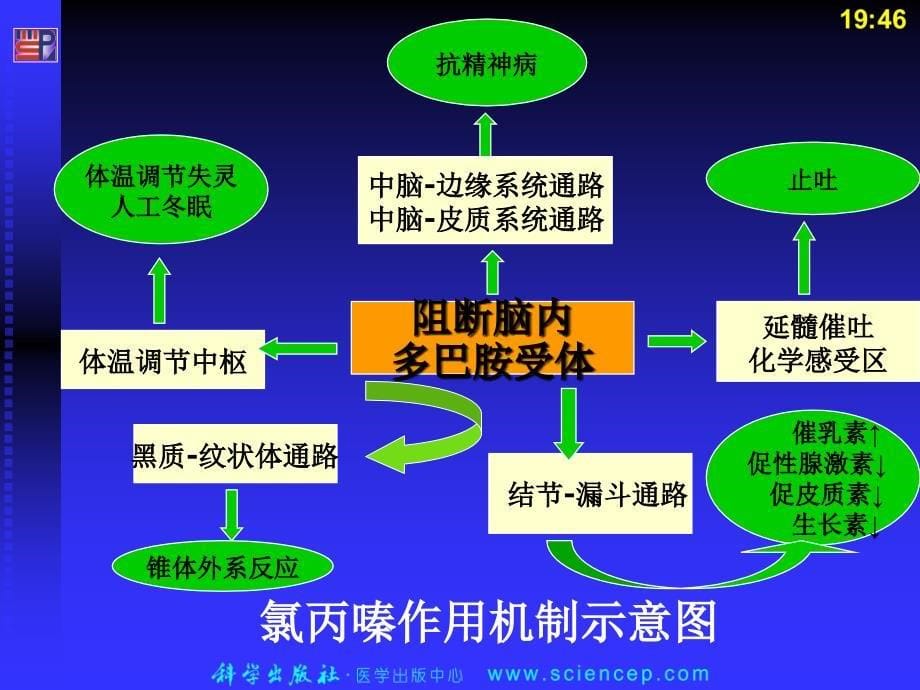 抗精神失常药PPT课件_第5页