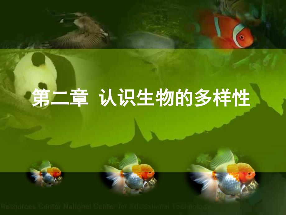 大同一中认识生物的多样性.ppt_第1页