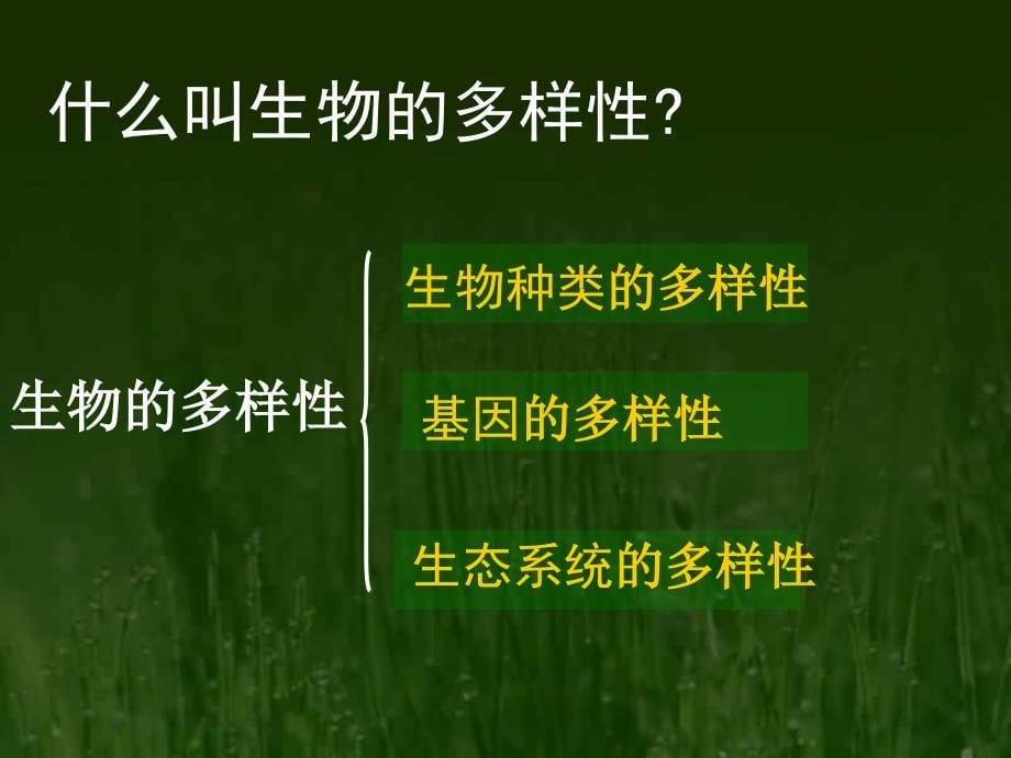 大同一中认识生物的多样性.ppt_第5页