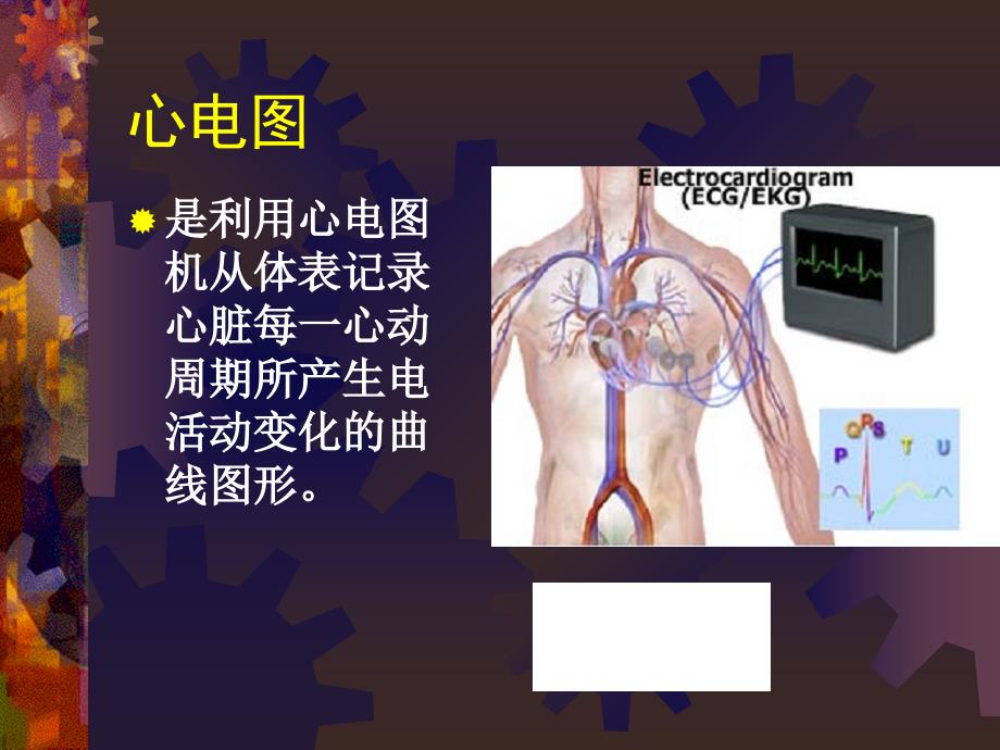 正常心电图ppt课件_第3页