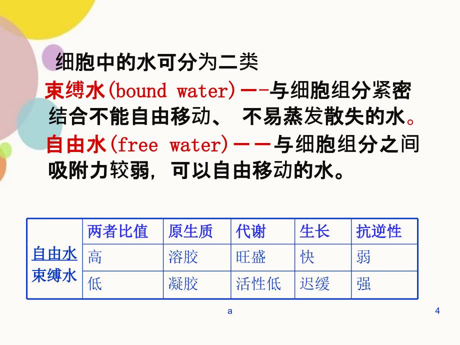 植物的水分生理_第4页