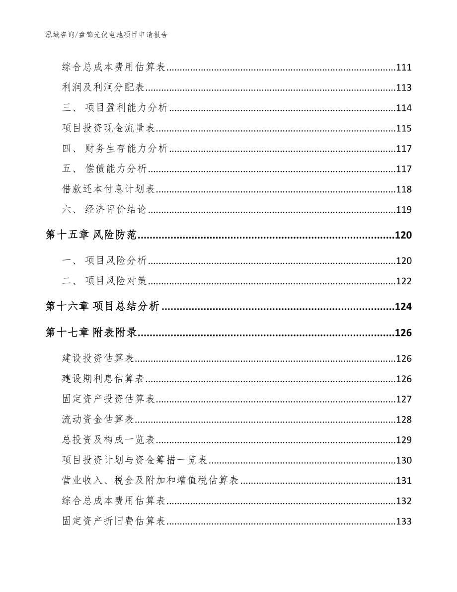 盘锦光伏电池项目申请报告_第5页