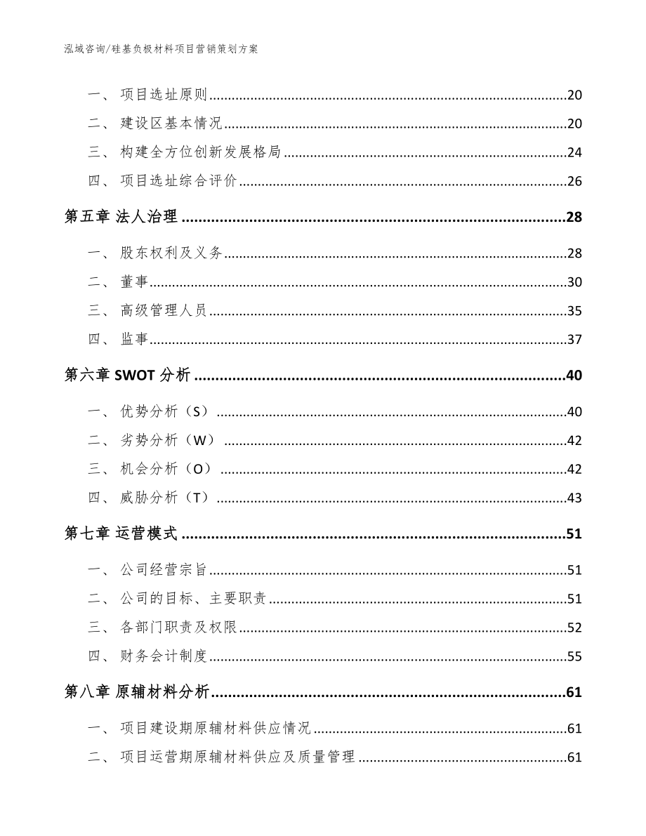 硅基负极材料项目营销策划方案_参考模板_第2页