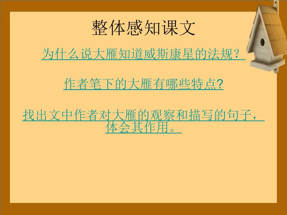 八年级语文下册14大雁归来课件2新人教版课件_第2页