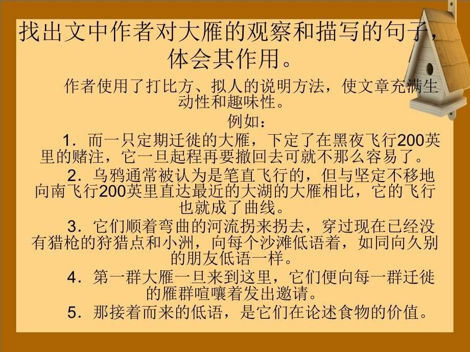 八年级语文下册14大雁归来课件2新人教版课件_第5页