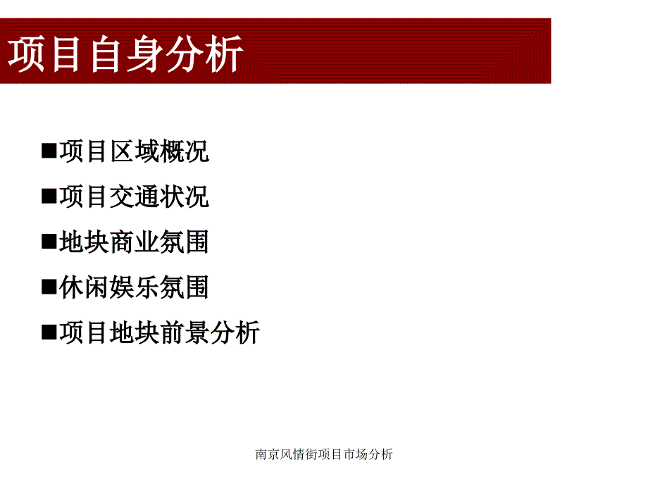 南京风情街项目市场分析课件_第4页