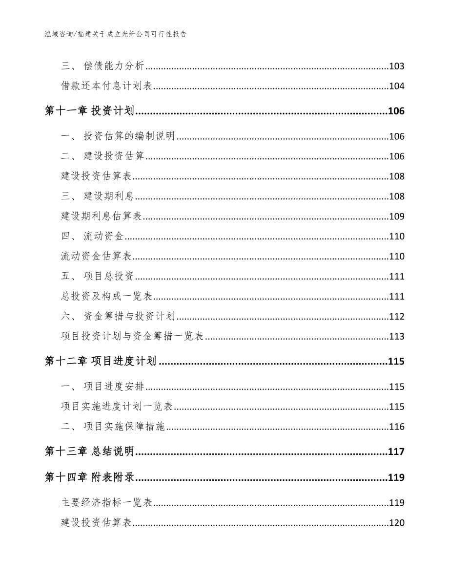 福建关于成立光纤公司可行性报告【模板参考】_第5页